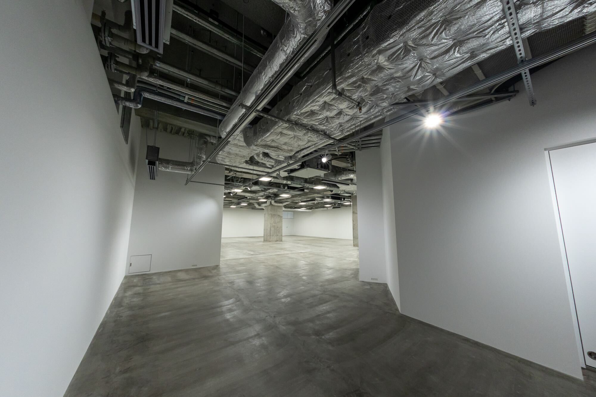 THE HALL