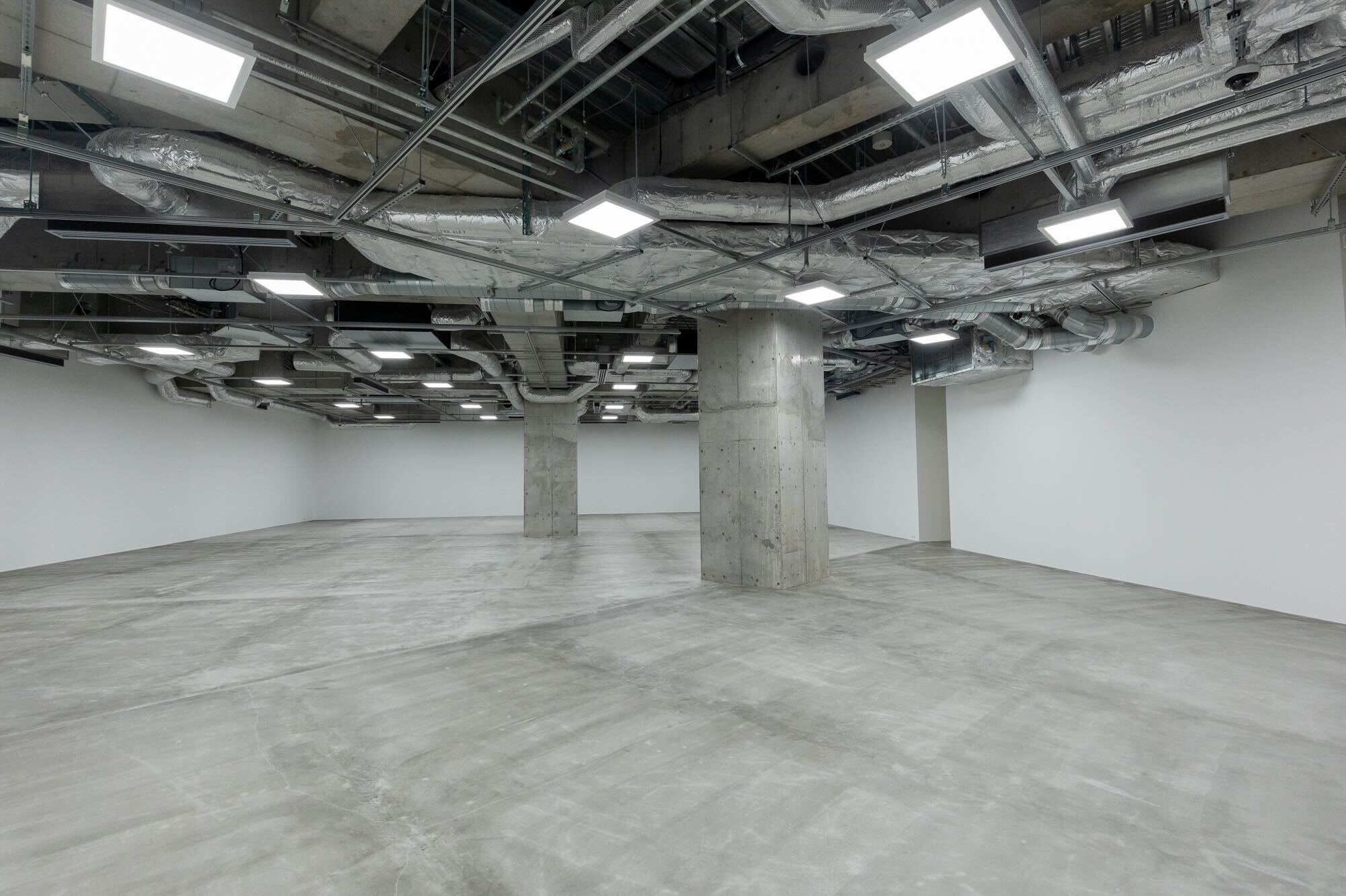 THE HALL