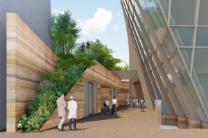Landscape Design